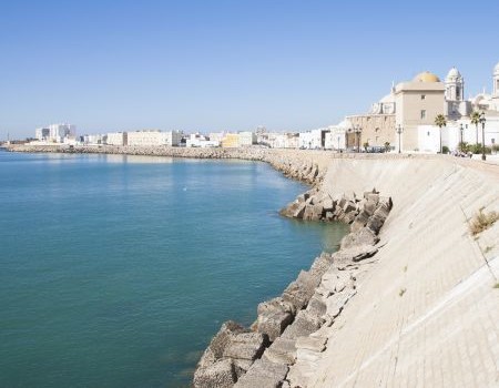 Seawall Repair or Replacement: 7 Signs Your Stuart Seawall Is Failing